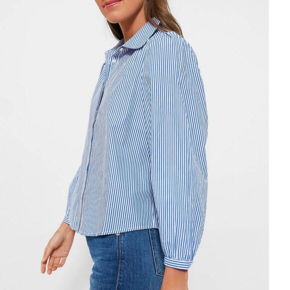 Pomander Place Indigo Stripe Button Down - Picture 2 of 11